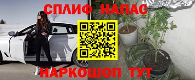 прущая мука Гусев